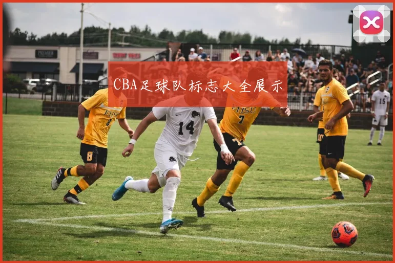 CBA足球队标志大全展示