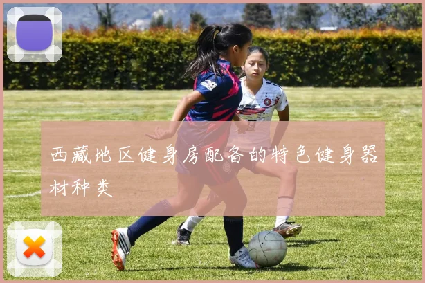 西藏地区健身房配备的特色健身器材种类