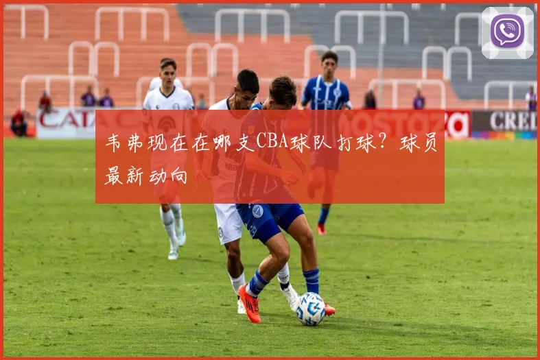 韦弗现在在哪支CBA球队打球？球员最新动向