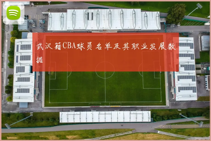 武汉籍CBA球员名单及其职业发展数据