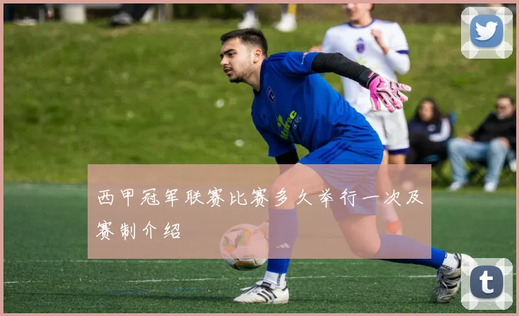 西甲冠军联赛比赛多久举行一次及赛制介绍